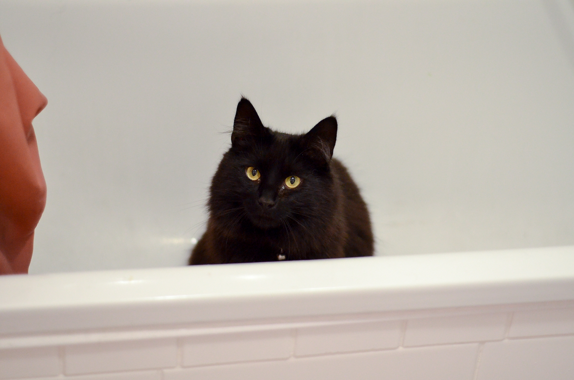 Margot in the bath
