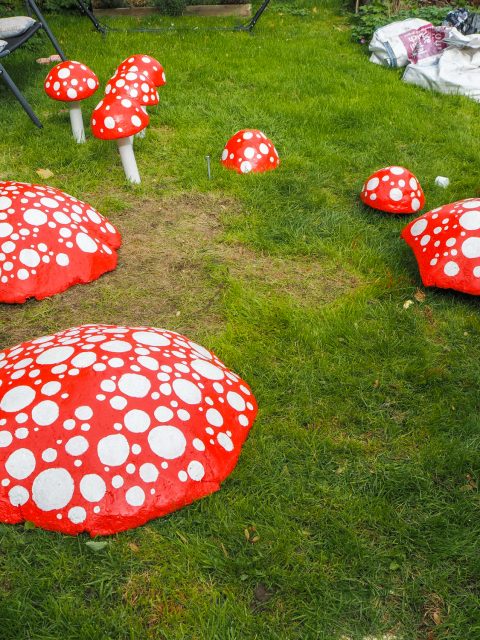 Sealing the Mushrooms